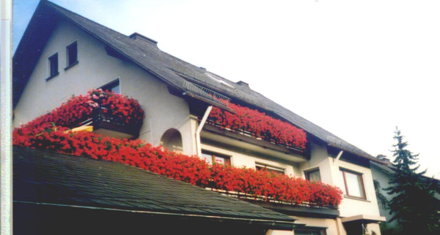 Hotel Haus Hubertus Winterberg Esterno foto